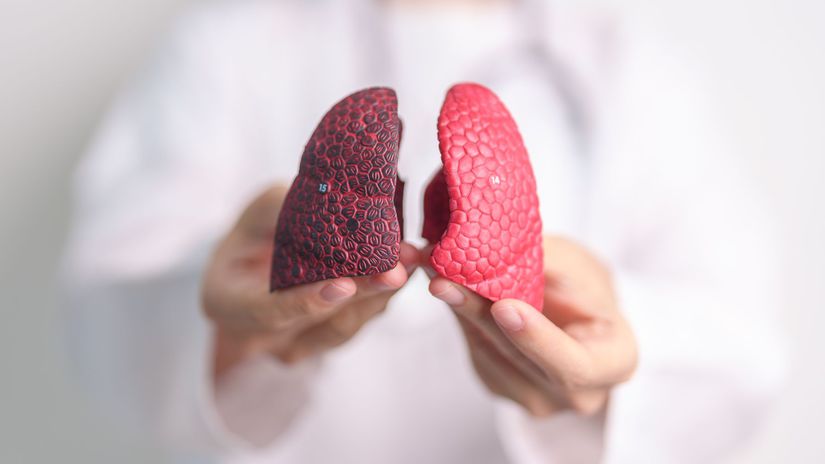 Organy vypestovane v laboratoriu mini pluca ako zaciatok