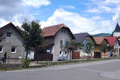 Zahadna choroba Jedenast ludi na plucnom oddeleni