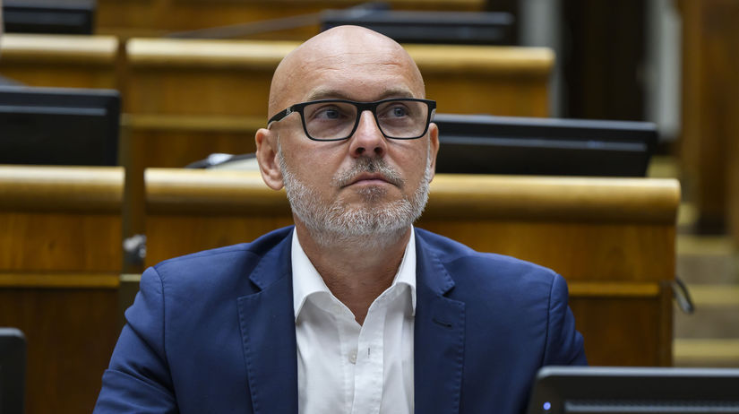 Liberalivyzvajupellegriniho aby poziadal fica o doveru vlade