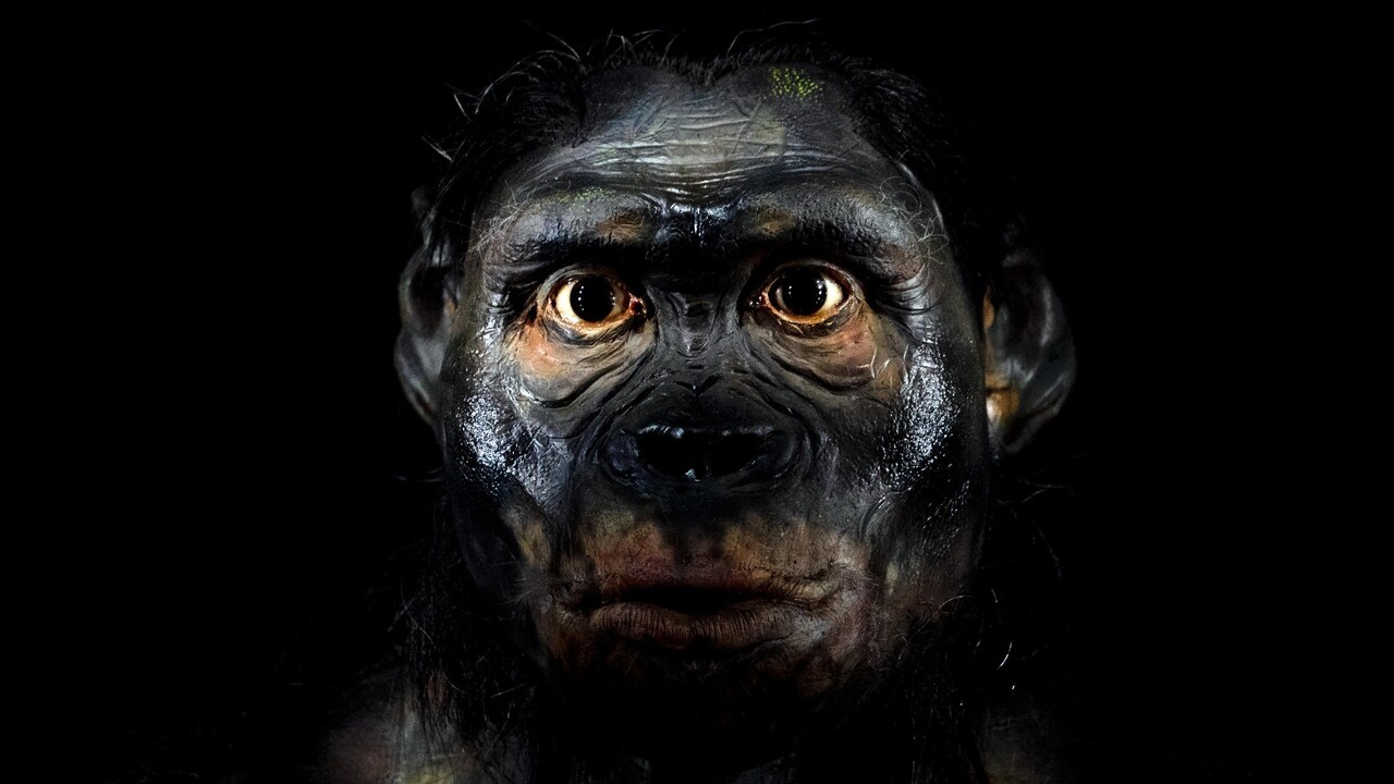 Ziadna katastrofa ani genocida tvrdia vedci Neandertalci nezmizli ich geny prechadzaju generaciami