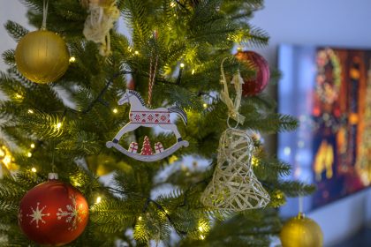 Vona ihlicia rozhoduje Cesta zivych stromcekov domov
