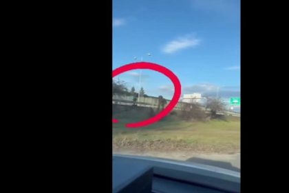 VIDEO Veselo po dialnici Policajti na D1 zachranili zivot riskujucemu kolobezkarovi