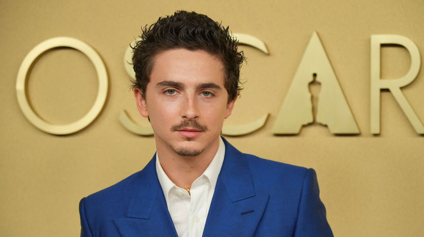 Herec Timothee Chalamet si rypol do baletu a operu Slovenske narodn divadlo mu poslalo odkaz