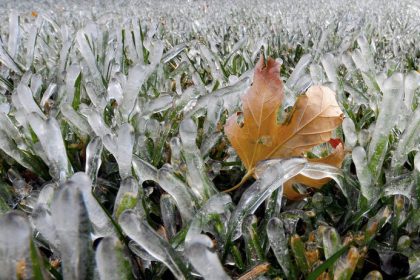 V noci pozor na mraz az do 4 C Pre ktore okresy su vyhlasene vyhlasky