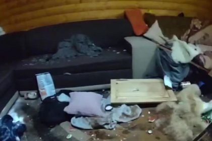 VIDEO Na Orave vycinal agresivny mladik so sekerou Kamarati pred nim skakali z balkona zranil aj svoju matku