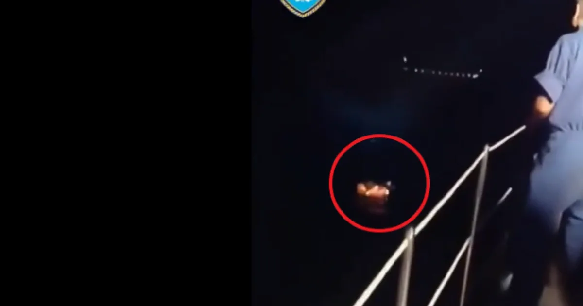 VIDEO: Loď s 3 350 ľuďmi narazila do dvoch nákladných lodí, kapitána preveruje polícia