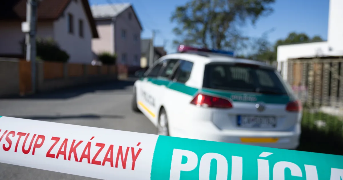 Žilinka: 13-ročného chlapca po tragédii v Staškove čaká…